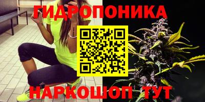 а пвп мука Аргун