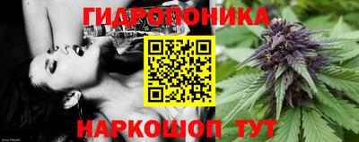 а пвп мука Аргун