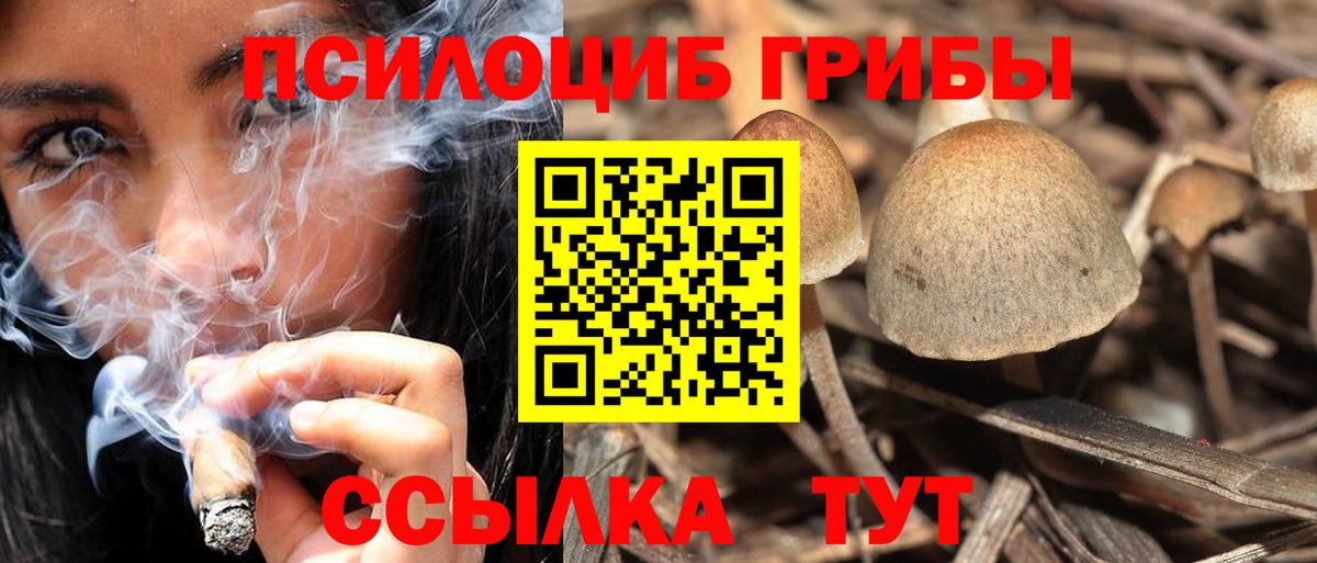 Галлюциногенные грибы Psilocybine cubensis  Вход с VPN  Волжск 